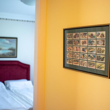 Kiskakas Vendégház Székkutas Esterno foto